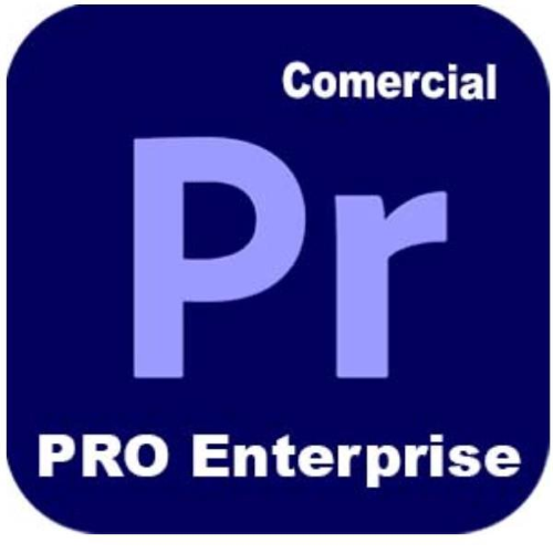 Adobe Premiere Pro - Edition 4 for enterprise - Nuovo abbonamento (1 anno) - 1 utente - GOV - Adobe Value Incentive Plan (VIP) Marketplace - Livello 1 (1-9) - Win, Mac - Multi European Languages